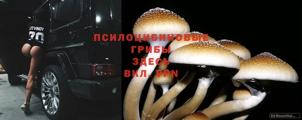 ГАЛЛЮЦИНОГЕННЫЕ ГРИБЫ Алзамай
