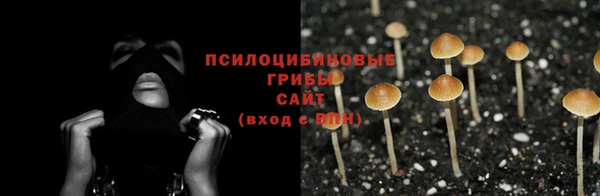 соль ск Семикаракорск