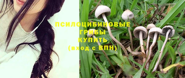 прущая мука Семёнов